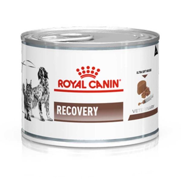 Royal Lata Recovery Perro/Gato 145gr