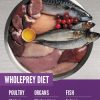 Orijen Kitten 1,8 kg - Imagen 3