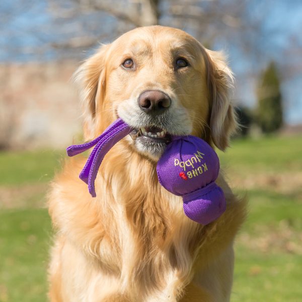 KONG WUBBA PUPPY SONIDO  VIOLETA - Imagen 3