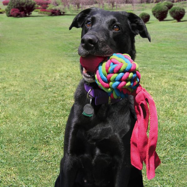 KONG WUBBA WEAVES L - Imagen 2
