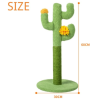 RASCADOR CACTUS GATO - Imagen 4