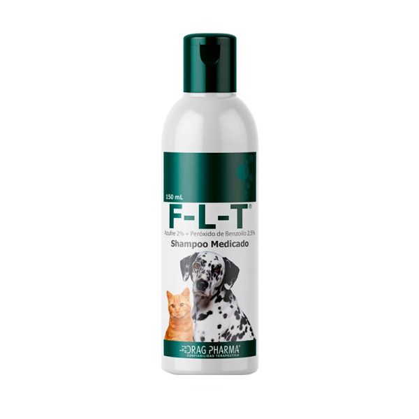 FLT SHAMPOO MEDICADO