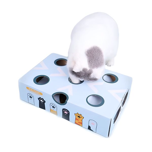 JUGUETE INTERACTIVO PARA GATO