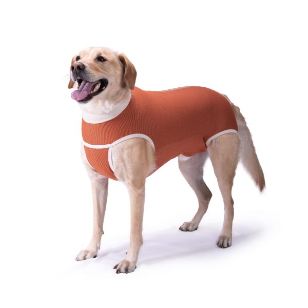 Body Cobre Castracion Macho Talla 5